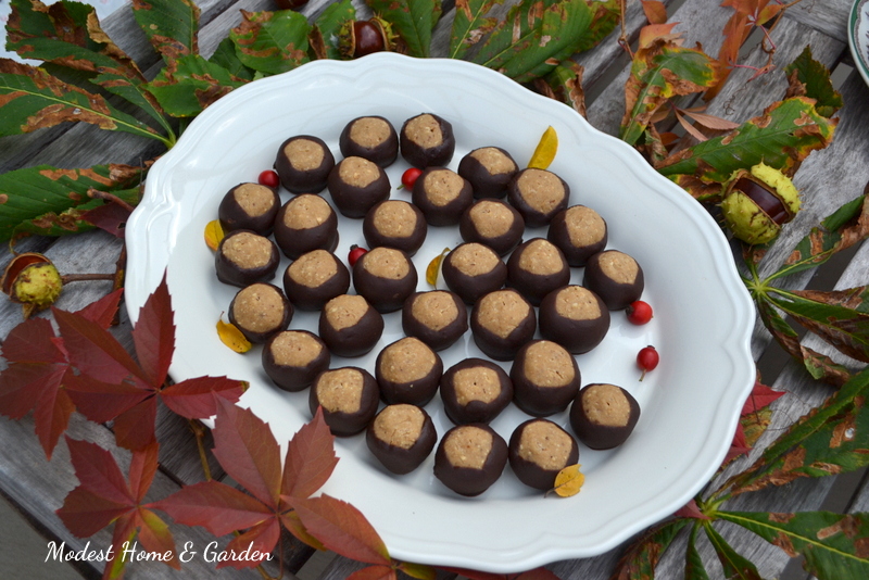 Modest Home & Garden Gesztenyegolyó / Chestnut Balls