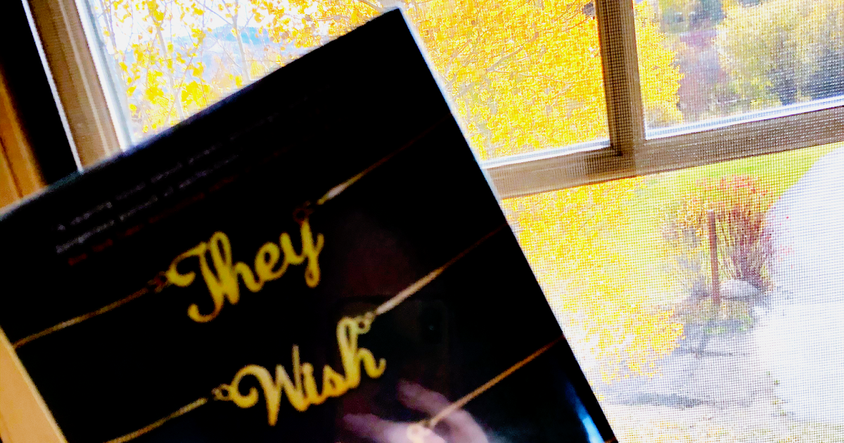 They Wish They Were Us YA