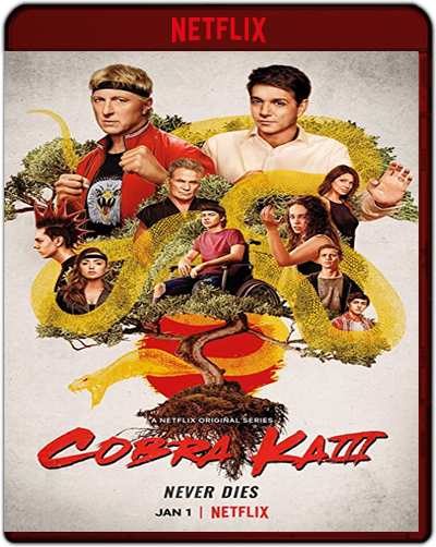 Cobra Kai: Season 3 (2021) 1080p NF WEB-DL Dual Latino-Inglés [Subt. Esp] (Serie de TV. Comedia)