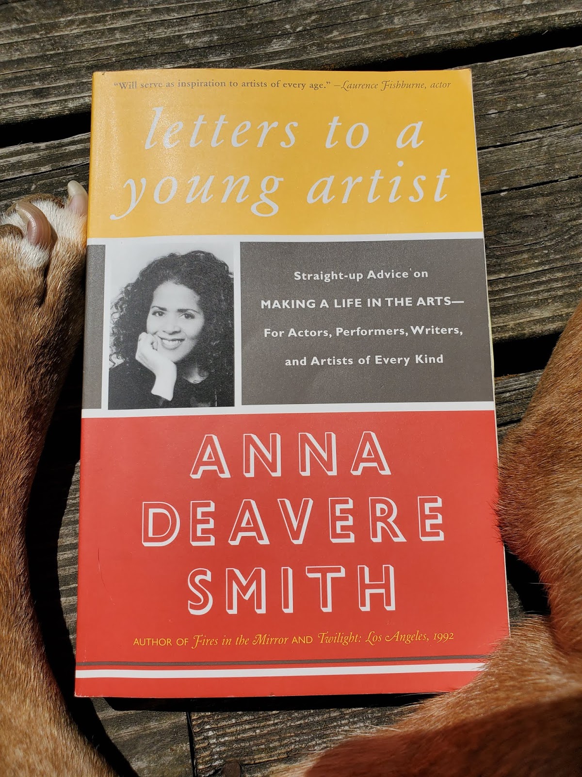 DeelaSees BOOKS! (Everything I Never Told You + Letters to a Young Artist)
