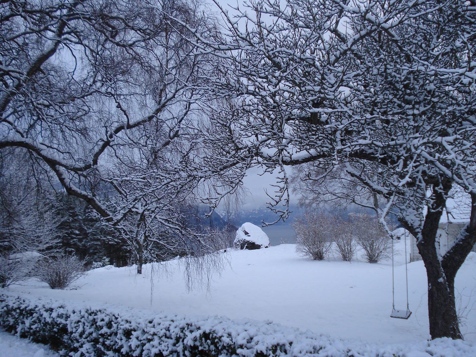 De Bobslee.: Witte kerst. 
