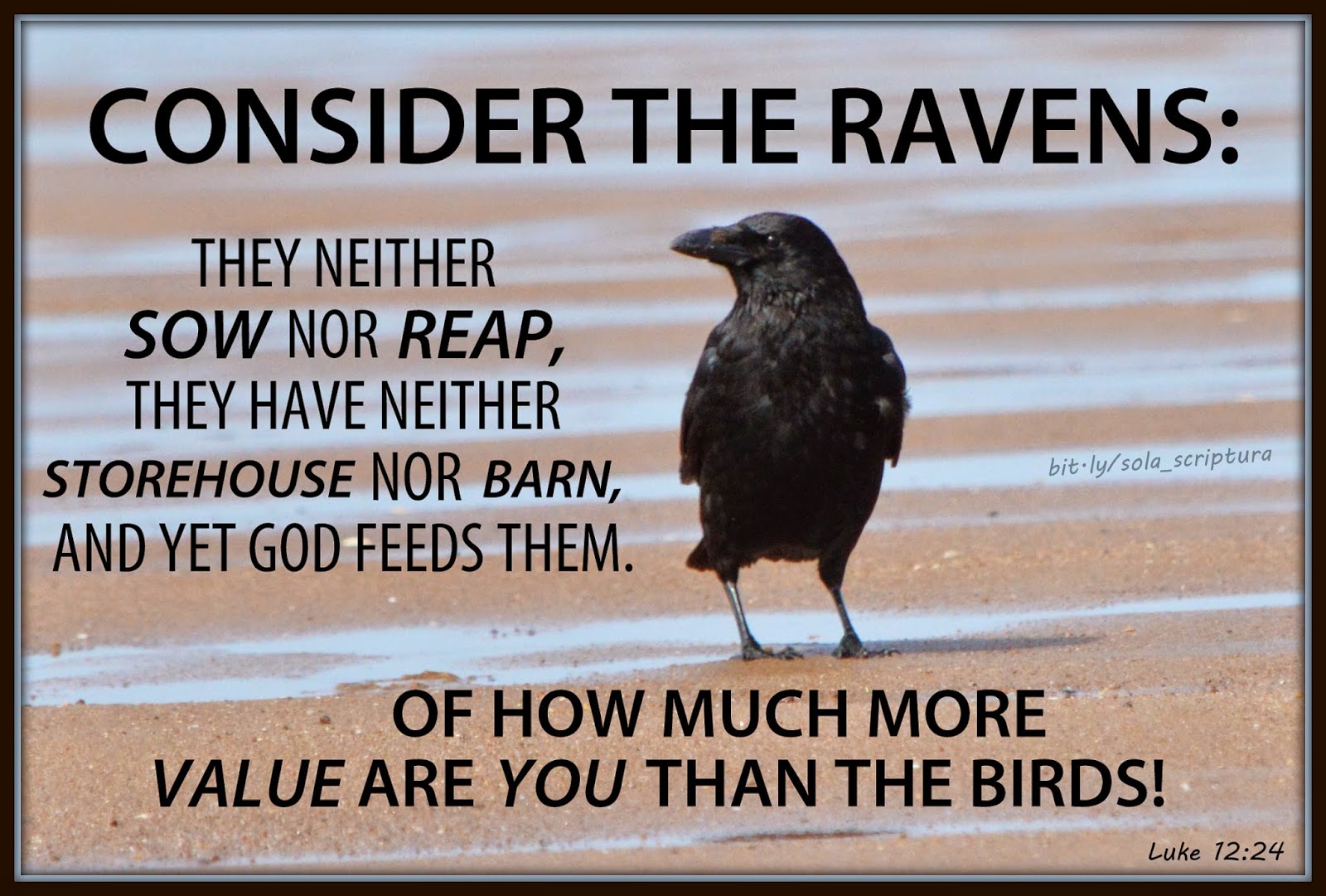 sola-scriptura-luke-12-24