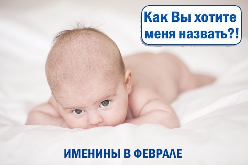 поздравление с именинами макария. 4 февраля имена. именины в феврале. 4 февраля тимофеев день тимофей полузимник. тимофей полузимник праздник.