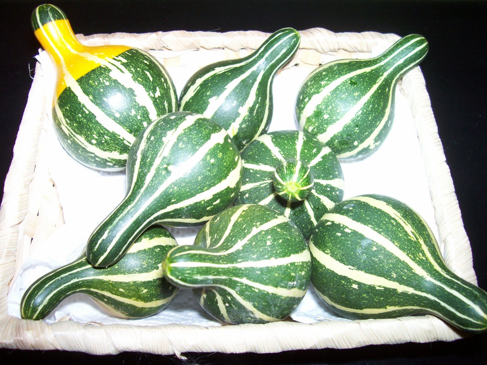 COCINA, BRICOLAJE, JARDINERÍA Y MANUALIDADES