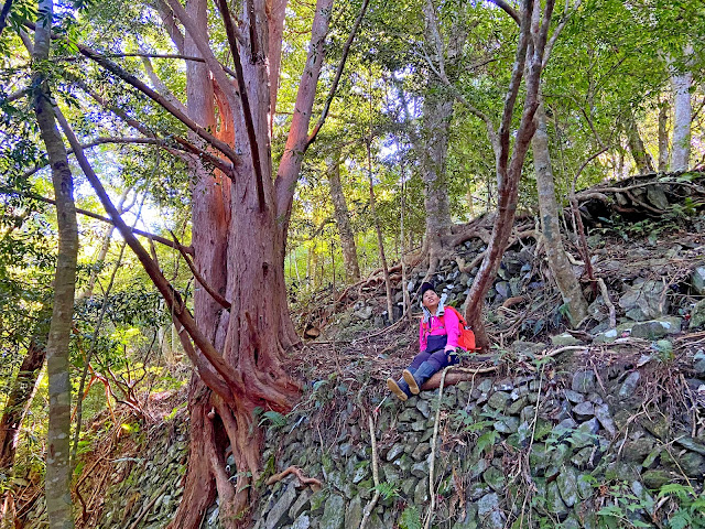 八仙山駐在所 八仙山駐在所