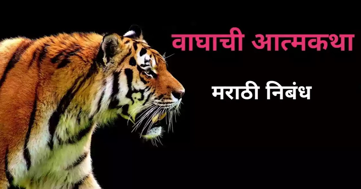 मी वाघ बोलतोय / वाघाची आत्मकथा निबंध autobiography of tiger in Marathi