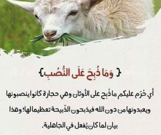 صور لفهم بعض آيات القرآن الكريم