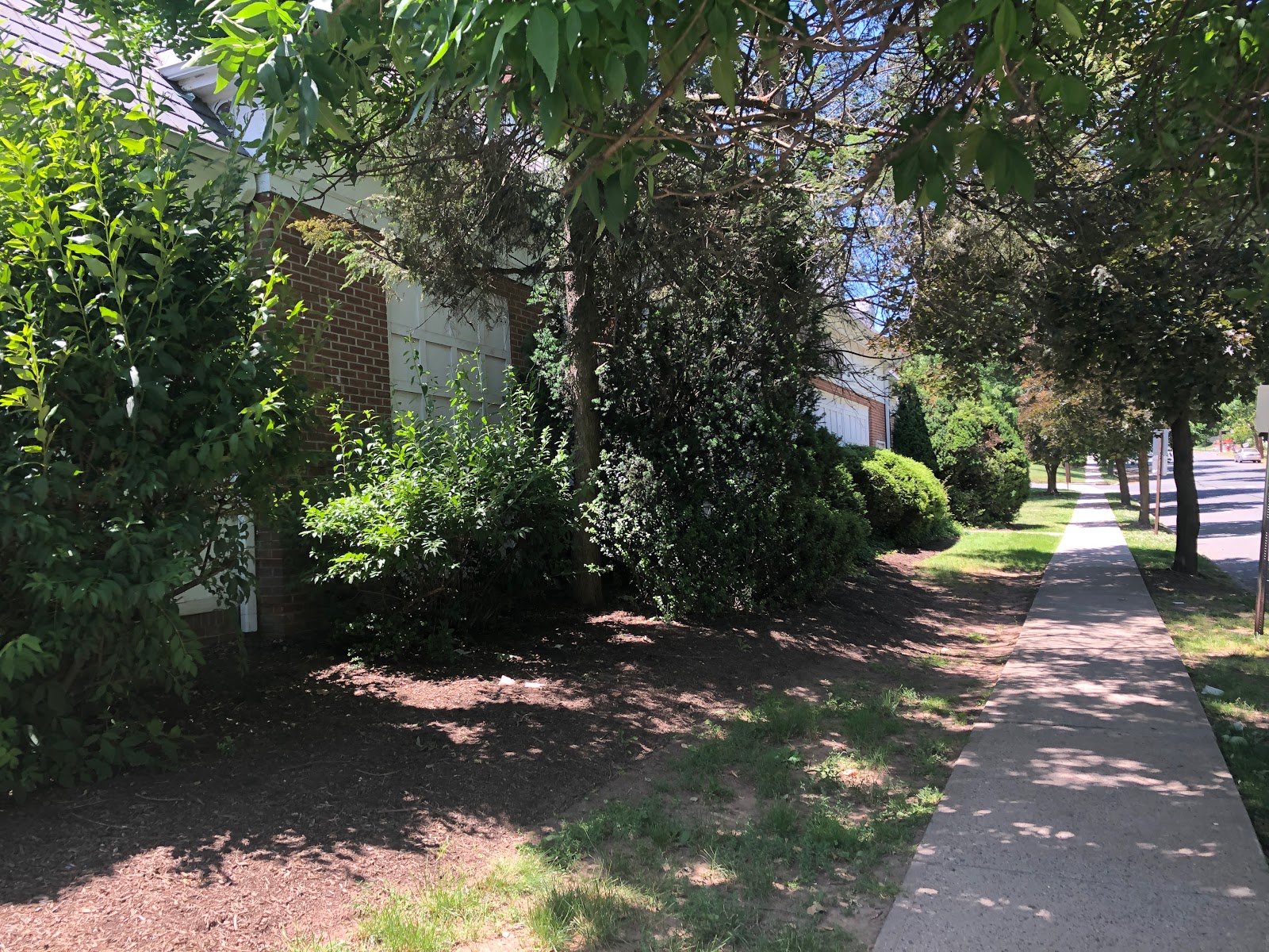 running shop westfield