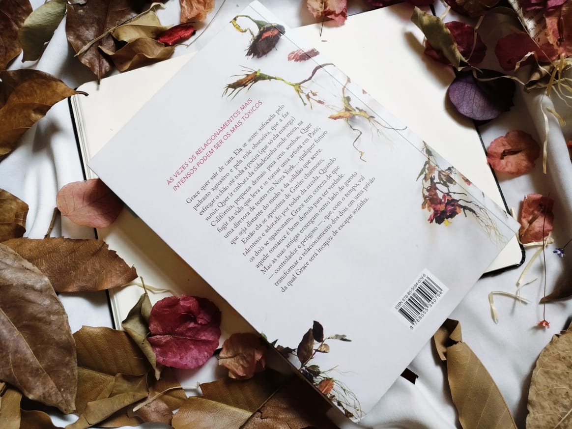 ROMANCE TÓXICO - HEATHER DEMETRIOS EDITORA SEGUINTE