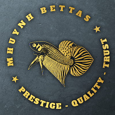 Logo Betta Hoang Dã