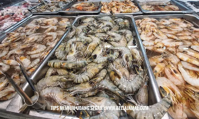 tips memilih udang segar yang kualitasnya bagus