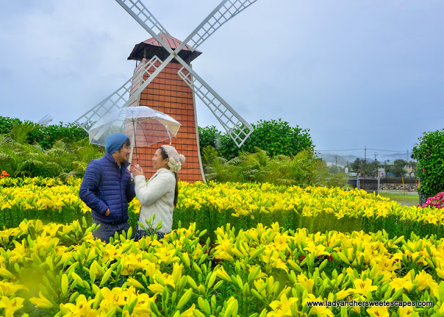 voyage de printemps à Taiwan