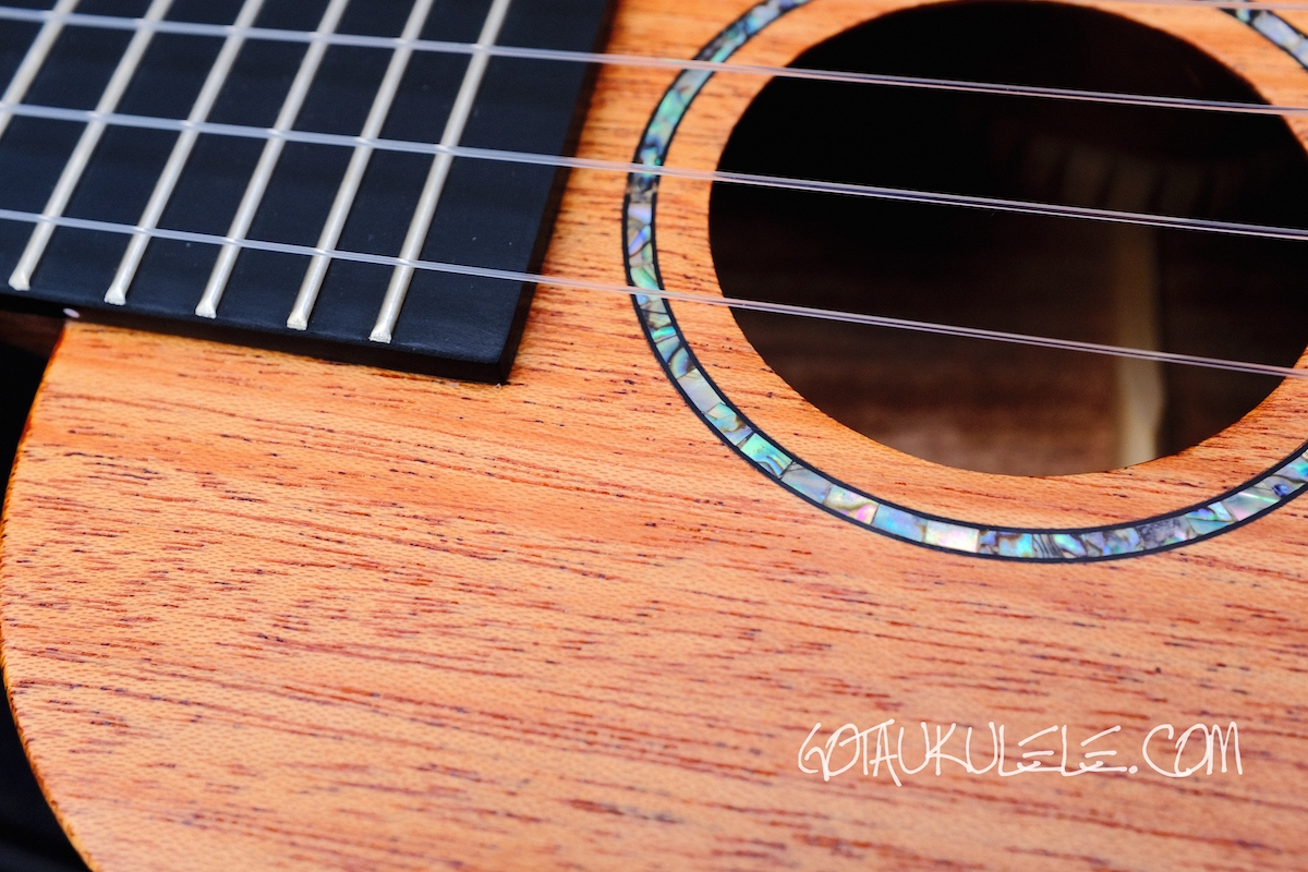 Enya EUCMS Concert Ukulele REVIEW