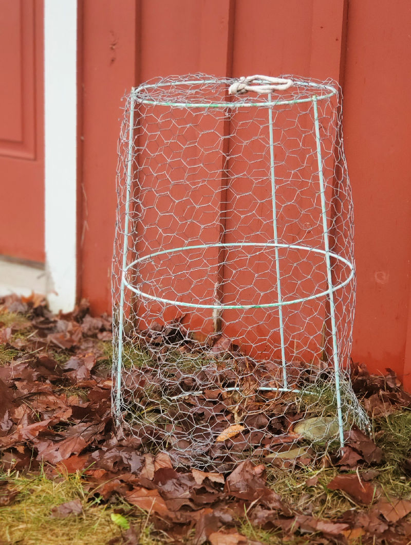 How to Make a Chicken Wire Garden Cloche - Fresh Eggs Daily® with