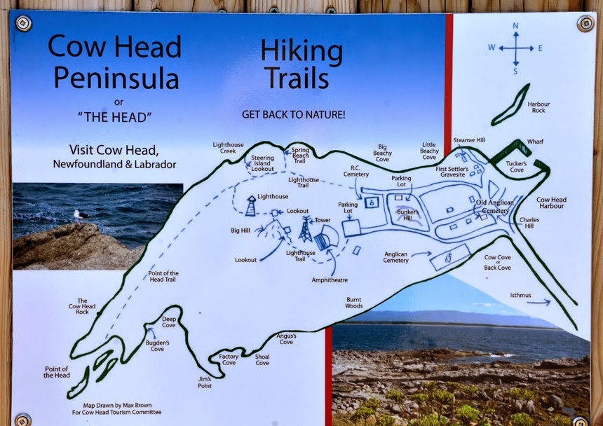PeeWee Travels Newfoundland August 24/14 Cow Head