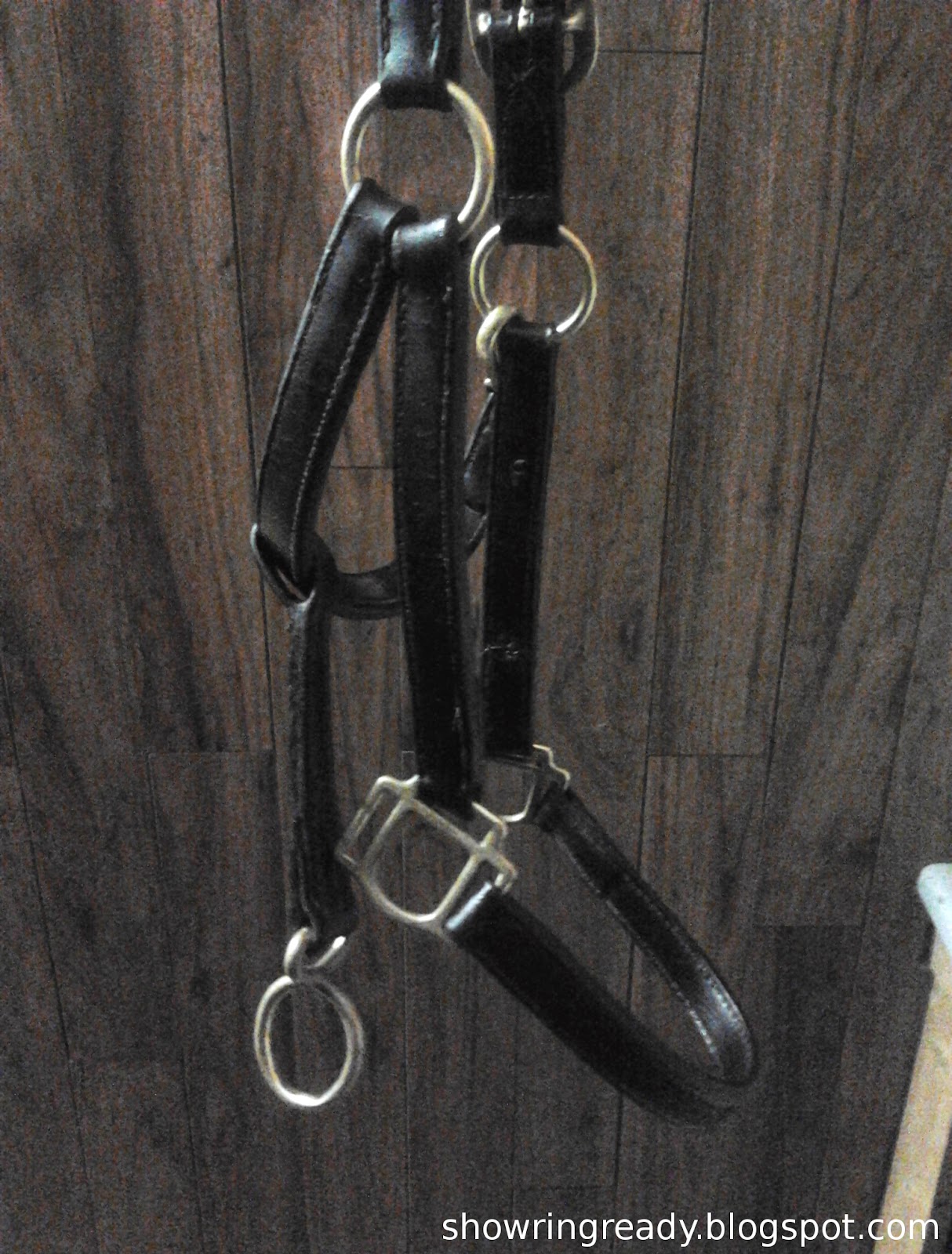 Show Ring Ready Fix a Broken Halter Chin Strap