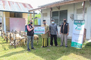 Global Wakaf ACT Aceh Salurkan Domba ke Dayah Al-Mahfudhah