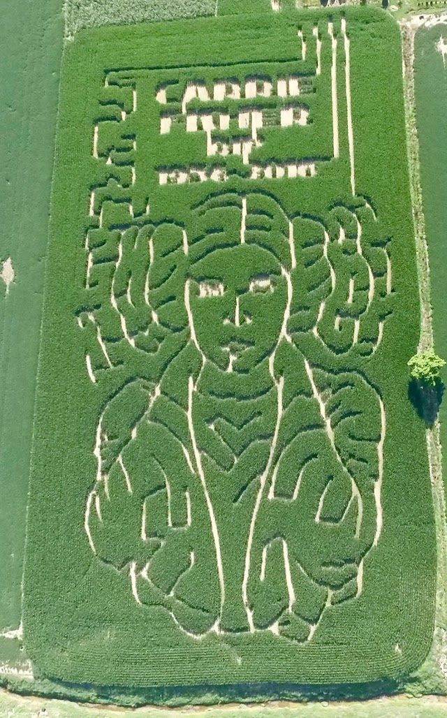 Fazendeiro homenageia Carrie Fisher com labirinto de milho