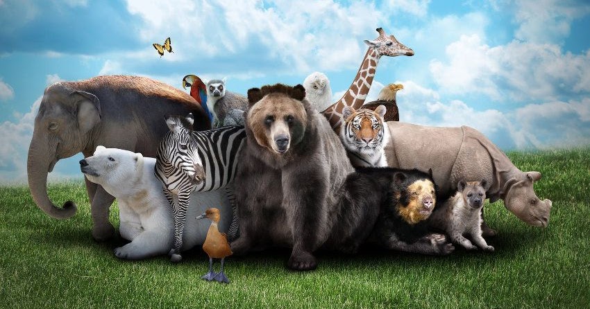 طباع الحيوانات وصفات لن تصدقها