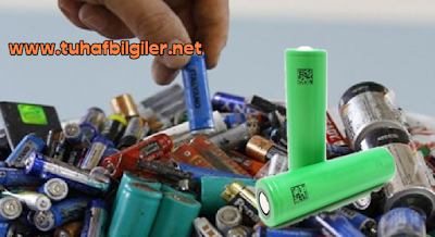 biten pilin dogaya zararı