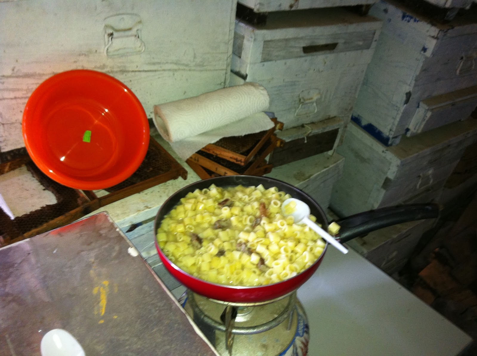 ARICI ALİ TÜRK VE ARICILIK BİLGİLERİ ARICILIK BÖYLE