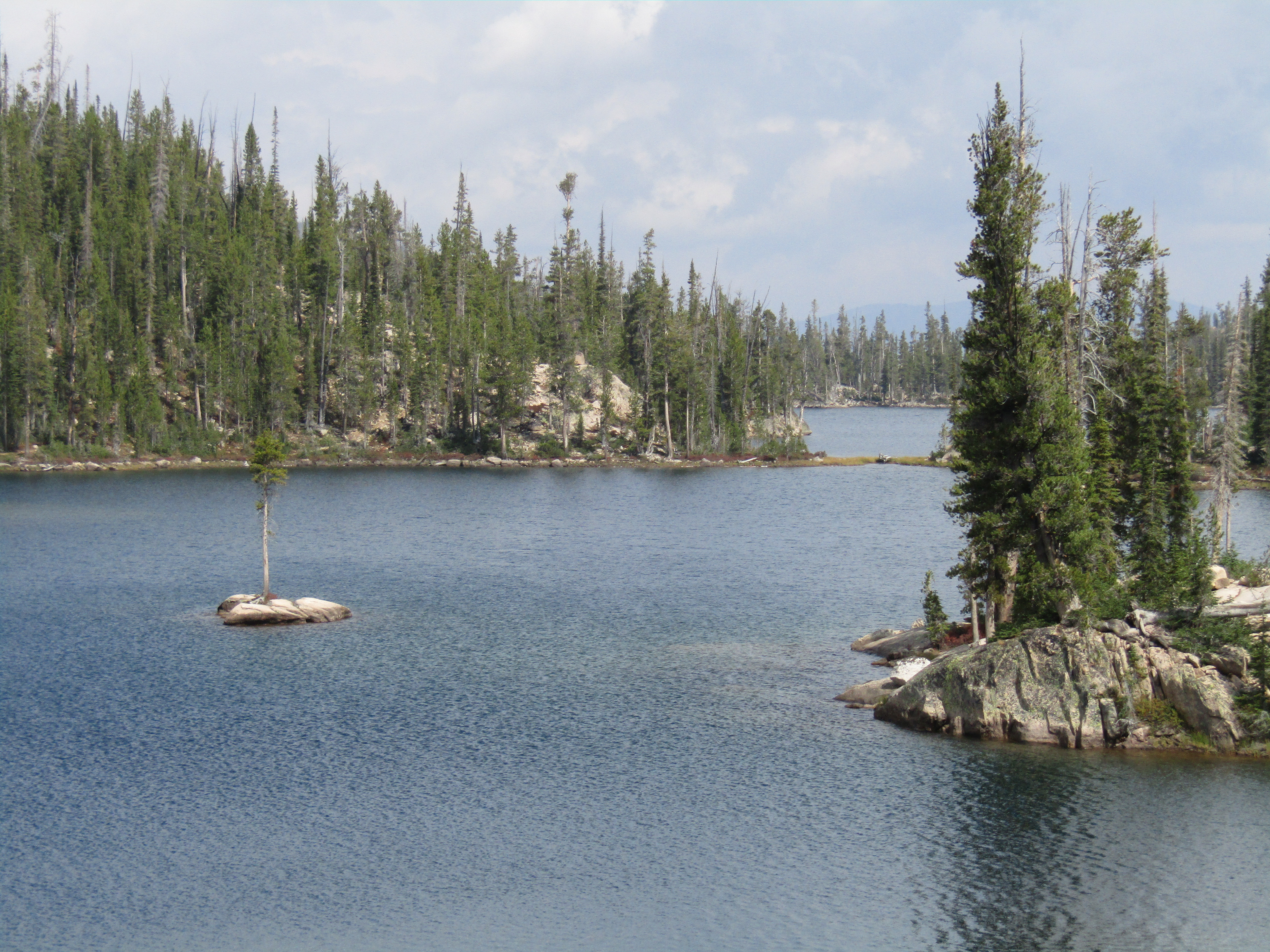 Holly's Horse Tales and Trails Tin Cup, Decker Flat, Iron Creek and