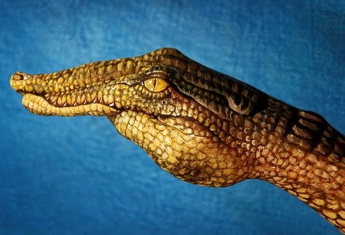 06-Crocodile-Guido-Daniele-Painting-Animals-on-Hands-www-designstack-co