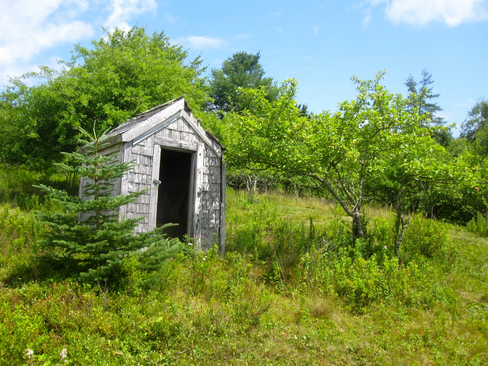 Blueberry Hill Blueberry Hill...