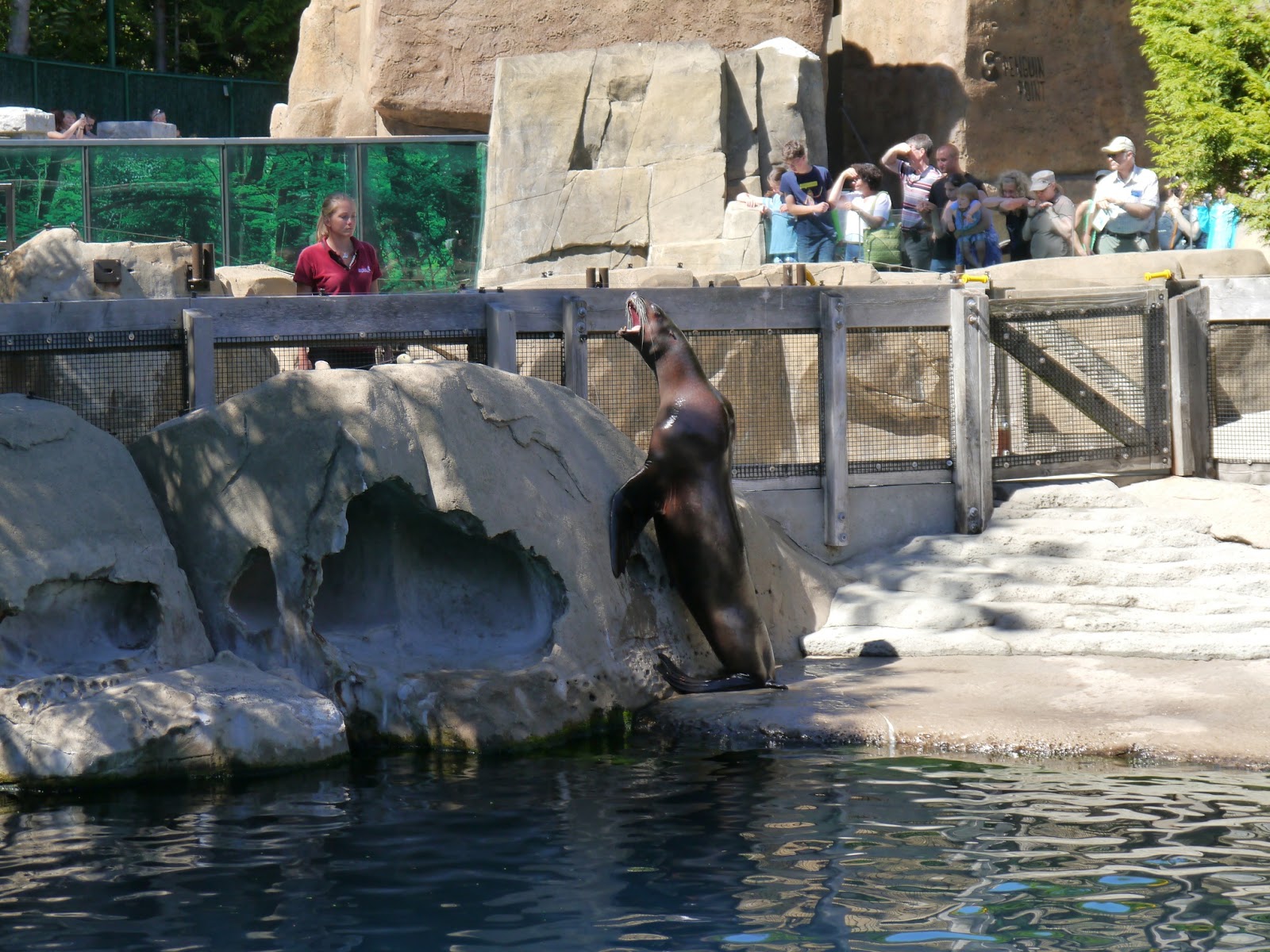 Little Hiccups: Vancouver Aquarium