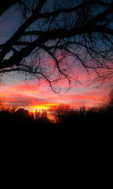 Texas Skyline