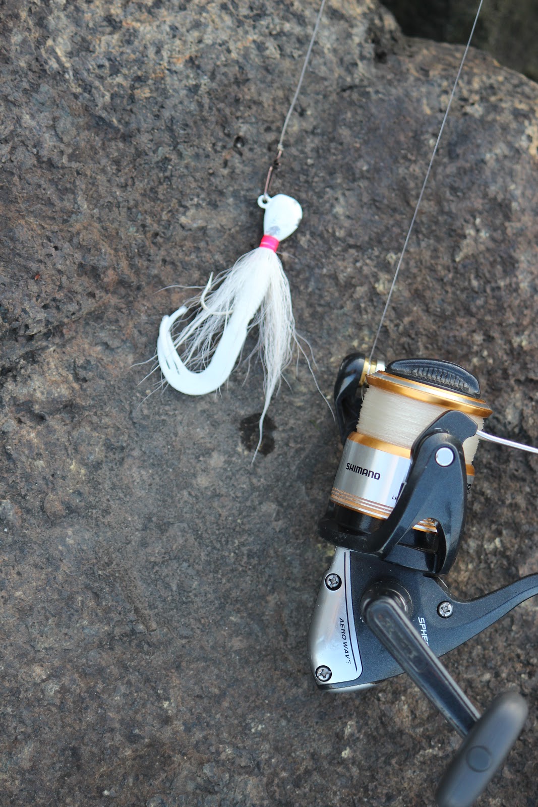 Rhode Island Striped Bass Bucktail Jigs....Prime Spring Lures