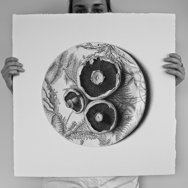 21-Mushrooms-C-J-Hendry-Hyper-Realistic-Drawings-of-Food-www-designstack-co