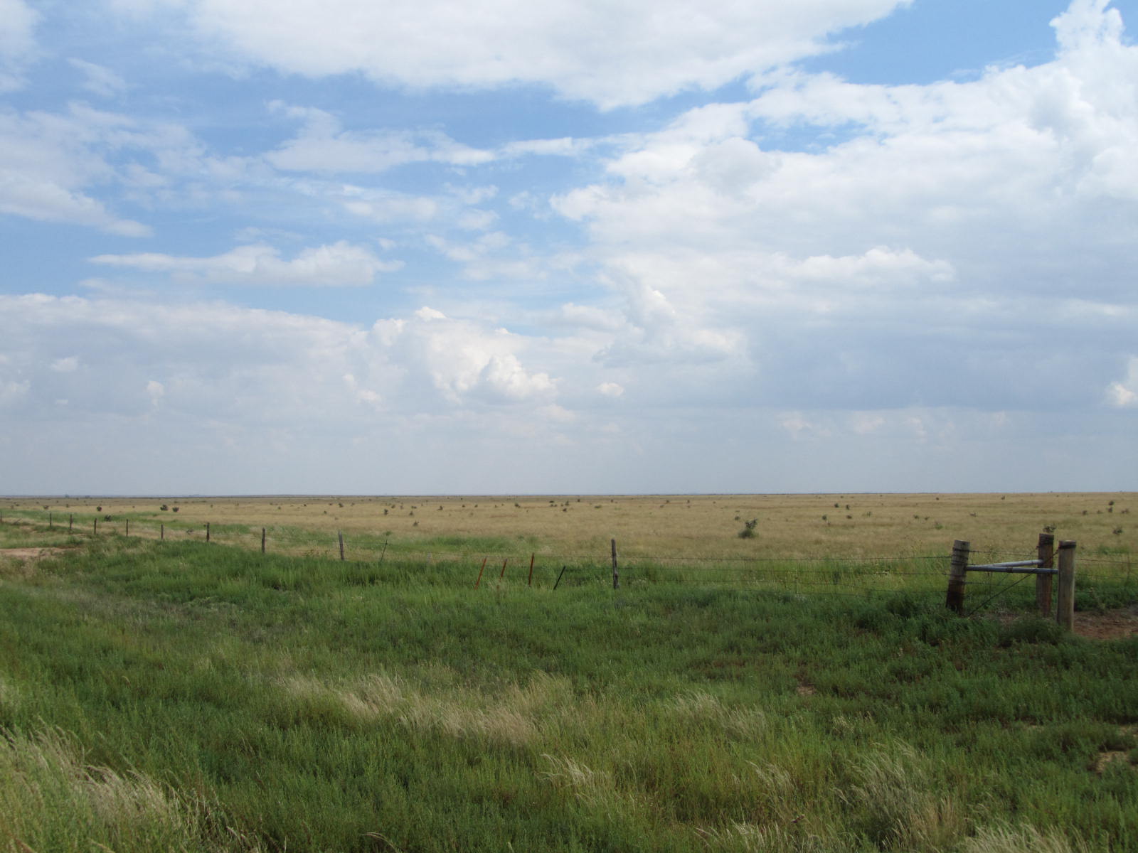 Queens University Of Charlotte >> autoliterate: Crossing the Llano Estacado: Hereford TX to Queens University Of Charlotte >> autoliterate: Crossing the Llano Estacado: Hereford TX to