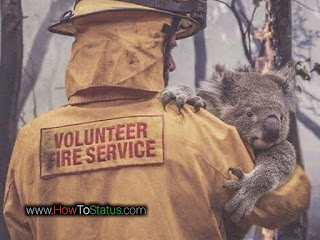 australia के लिए प्रार्थना करो news hindi