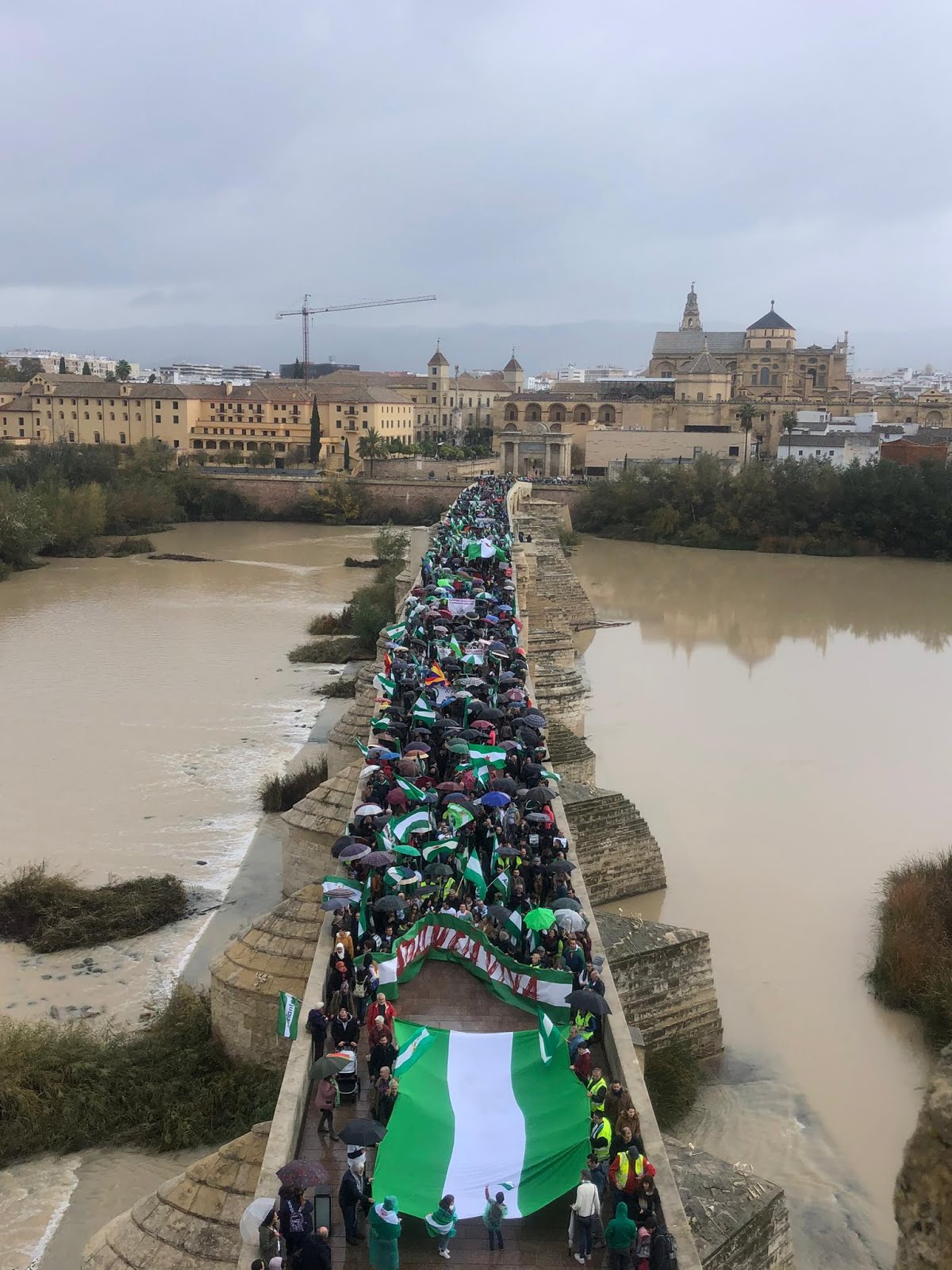 FOTO  y VÍDEO MANIFESTACIÓN 1D EN CÓRDOBA:¡VIVA ANDALUCÍA VIVA!