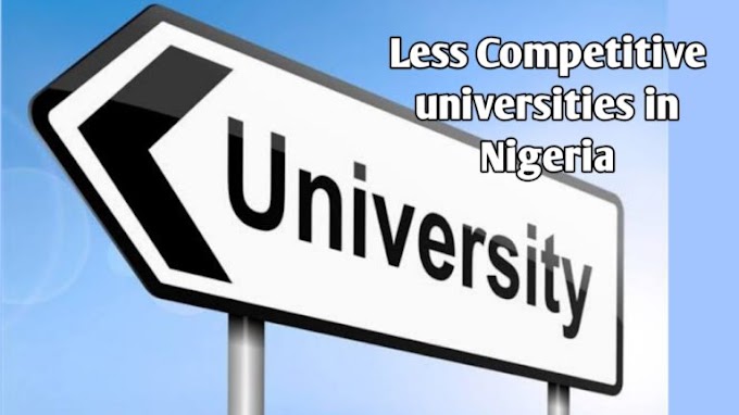 Top 10 Less Competitive Universities in Nigeria