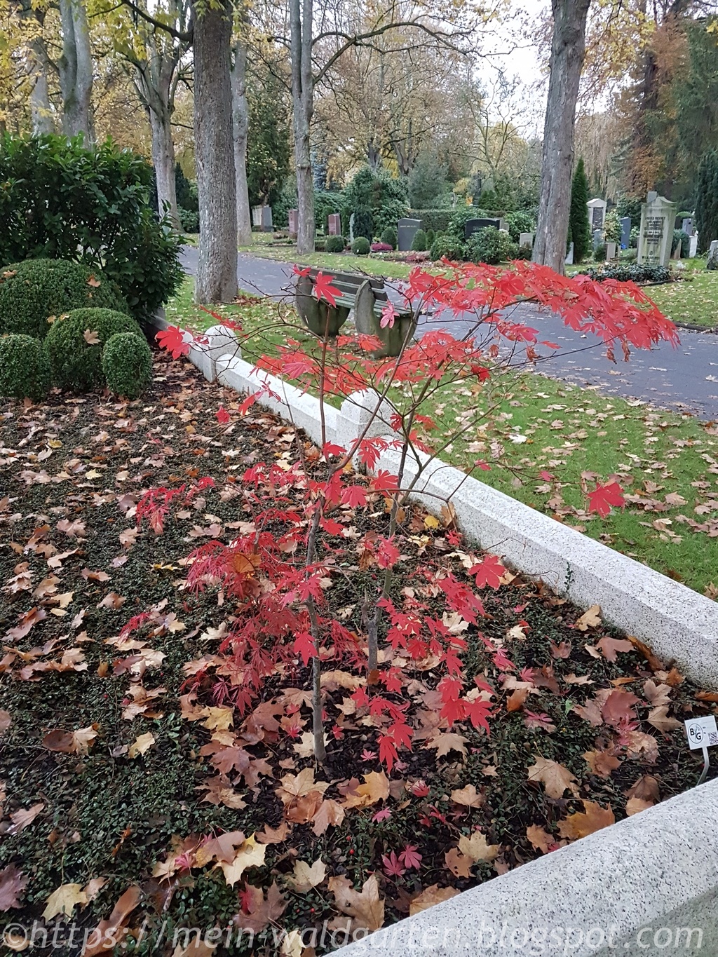 Bodensee Shots Von Claudi 2016