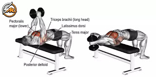 Chest and Back Superset Workout