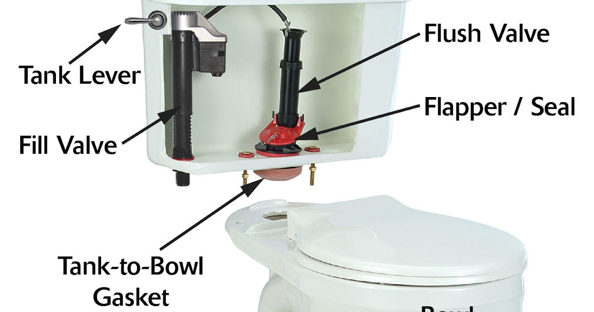 Learning About How Toilets Work Penniless Parenting