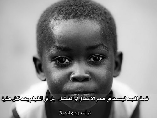لا تجادل الأحمق