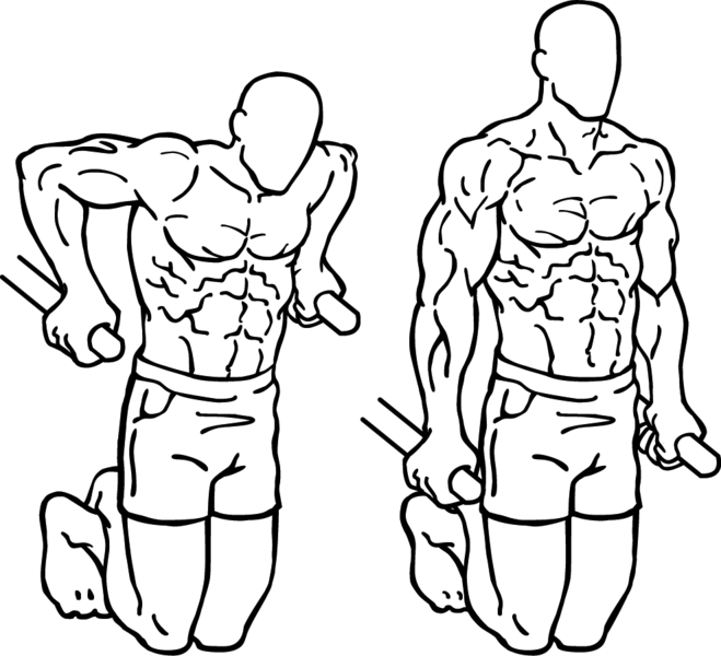 COMPOUND WORKOUT Guide Roots