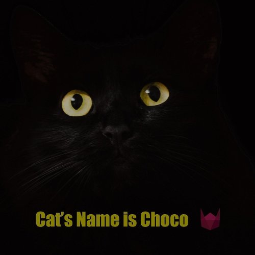 WindyCat – Cat’s Name is Choco – Single