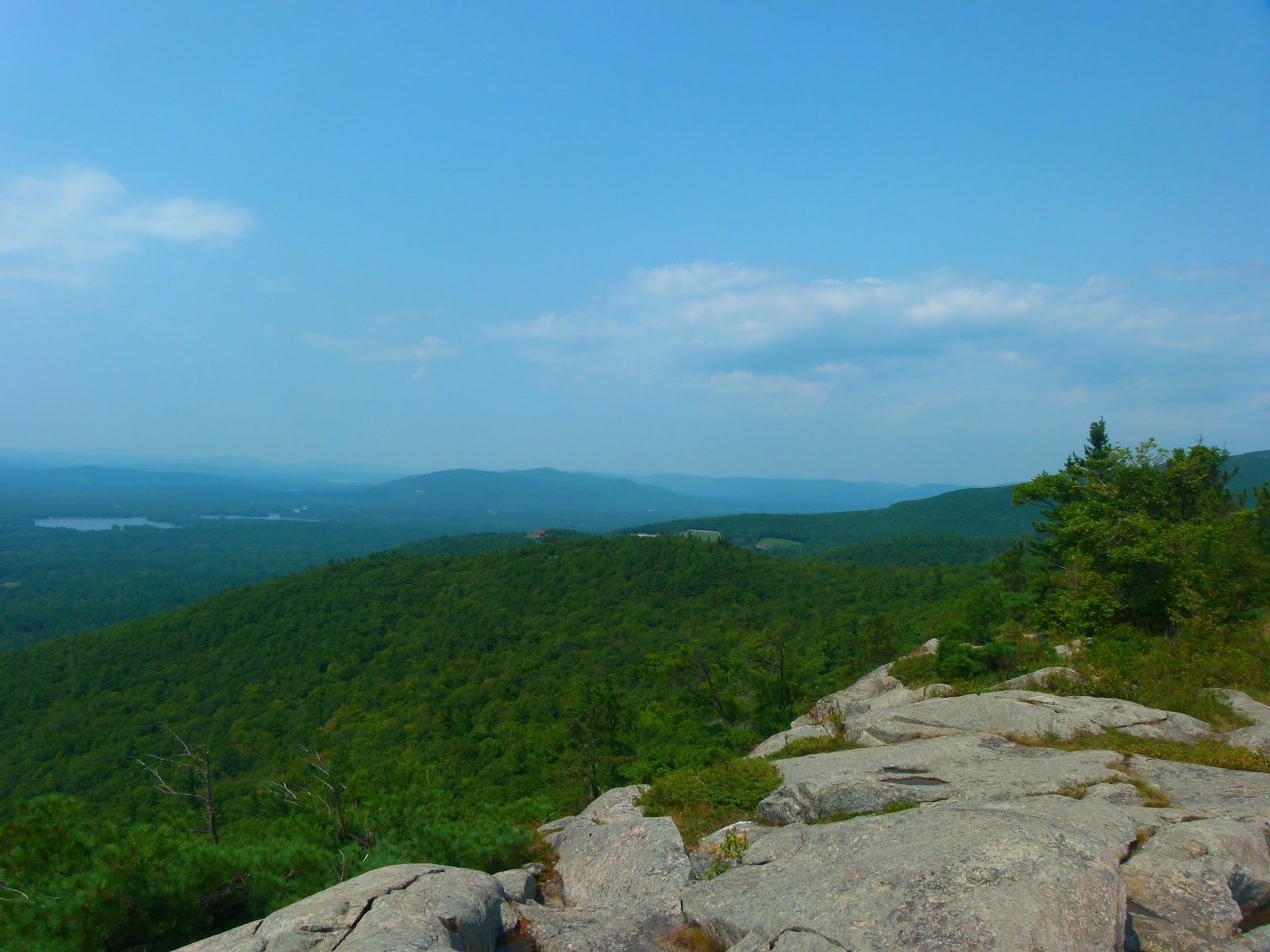 Trish, Alex, and Sage Tuesday Trip Report Bald Knob (Ossipee Range). August 17, 2012