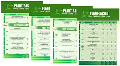 Plant-Based Recipe Cookbook