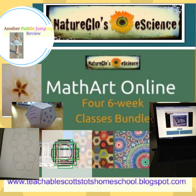 Review, Naturescienceglo, Math Art, #hsreviews, #escience, #natureglo, #math, escience, online learning