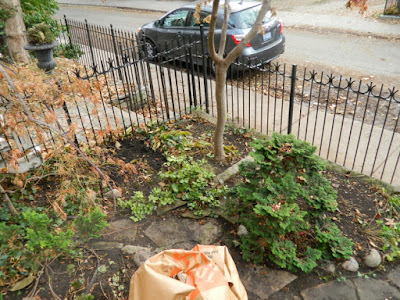 Toronto Cabbagetown Fall Cleanup Front Yard After by Paul Jung Gardening Services Inc.--a Toronto Gardening Services Company Toronto Cabbagetown Fall Cleanup Front Yard After by Paul Jung Gardening Services Inc.--a Toronto Gardening Services Company