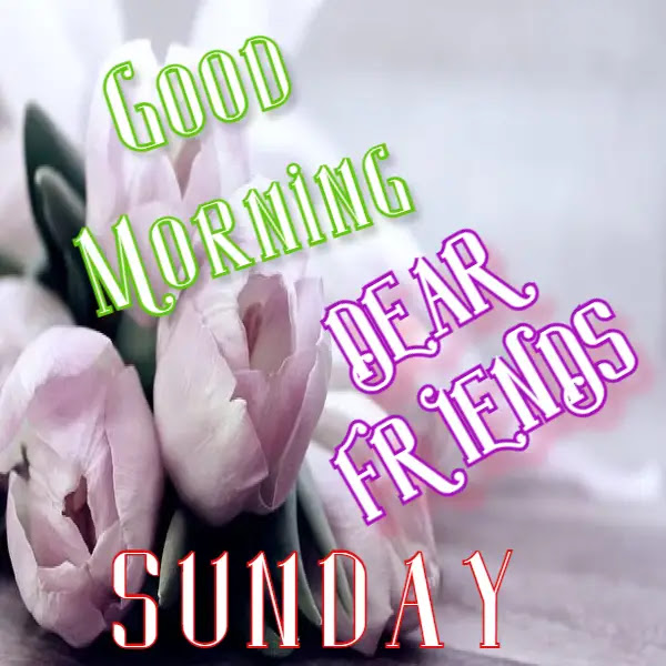 Happy Good Morning Sunday Images HD ! Free Download Happy Good Morning Sunday Images HD ! Free Download