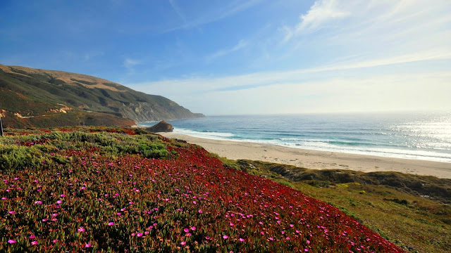 Landscape, sea, coast, mountains, field, iPhone flowers and desktop wallpaper.