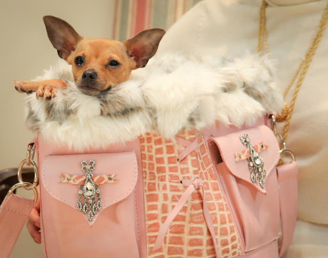 Kiki Hamann Canine Couture - Haute Living Plus Dog: The Tea Room Photo ...