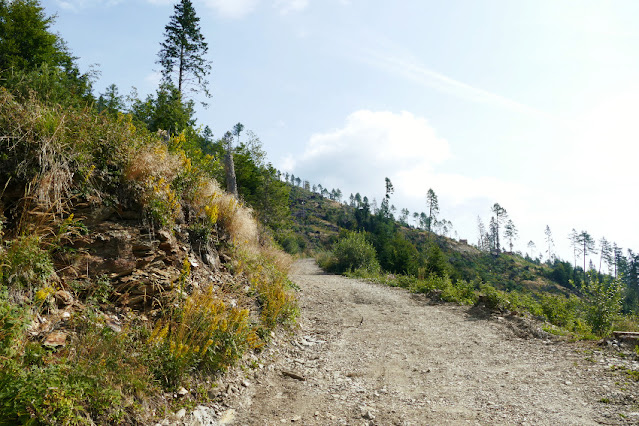 da vetriolo a cima panarotta